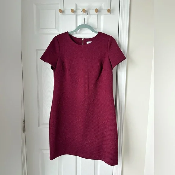 Size 12 Calvin Klein stretch work dress - Picture 1 of 4